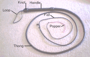 Parts of a whip